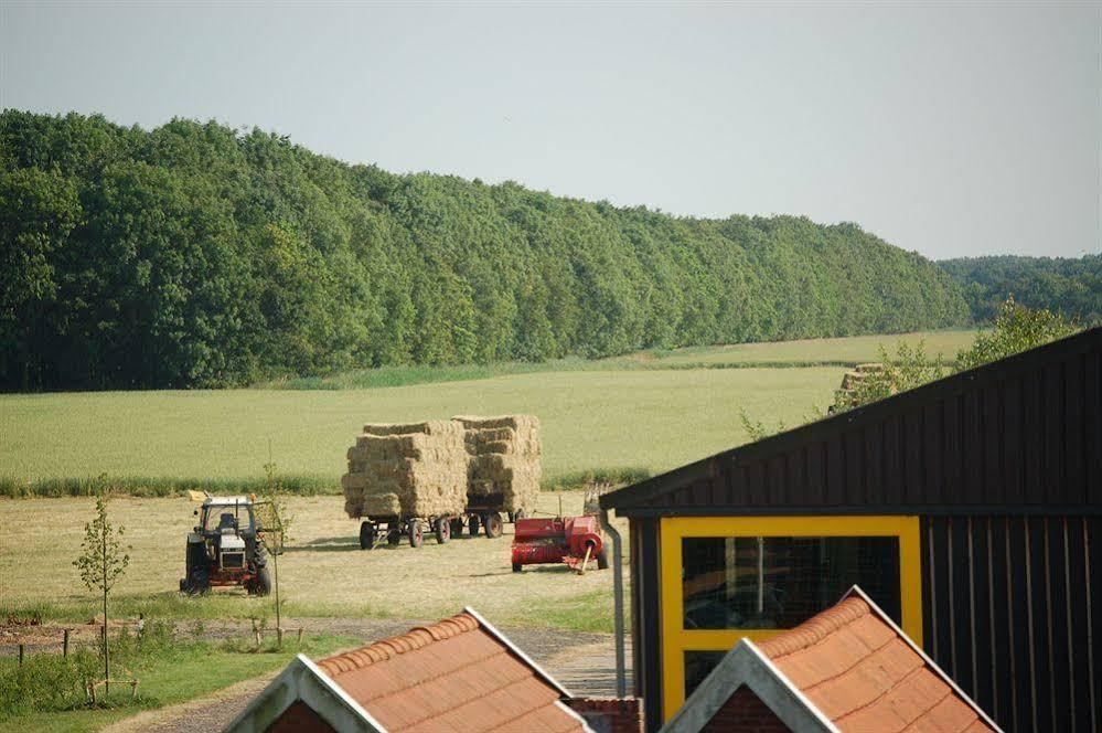 B&B Blauwestadhoeve Midwolda Exteriör bild