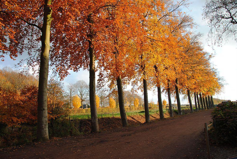 B&B Blauwestadhoeve Midwolda Exteriör bild